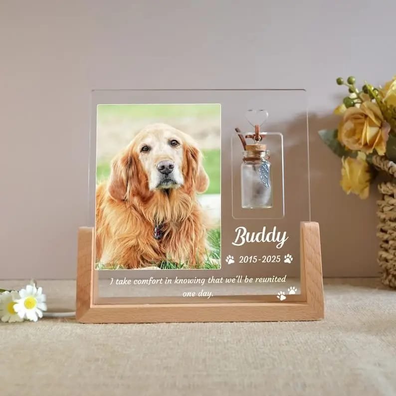 Custom Pet Photo Night Light